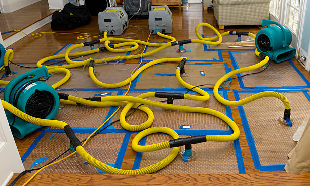 Professional Water Damage Repair technician working in New Deal, TX